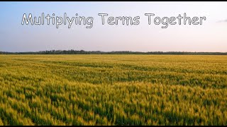 Multiplying Terms Together