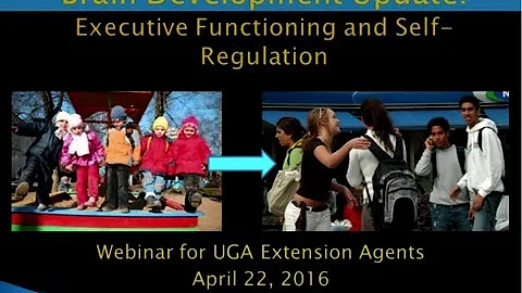 Brain Development Update - Executive Function and ...