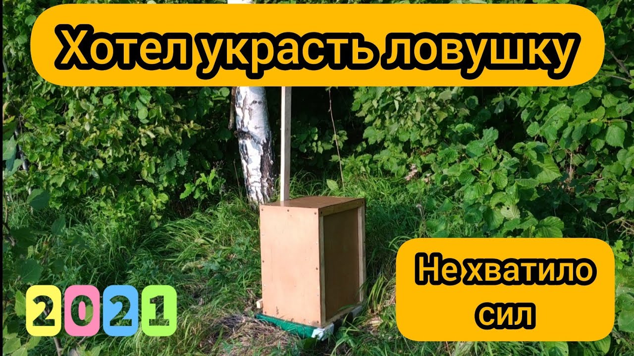 ОБНАГЛЕВШИЙ ЖУЛИК!!!!! Ревизия после кражи, и не только... - YouTube