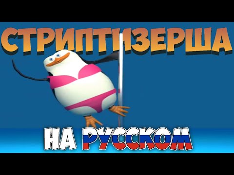 Мем Пингвины Мадагаскара на Русском