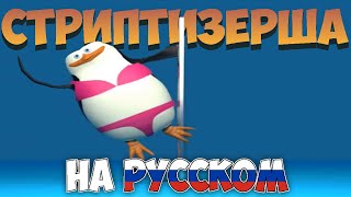 Мем Пингвины Мадагаскара На Русском