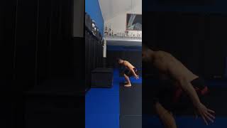 Pause squat box jump