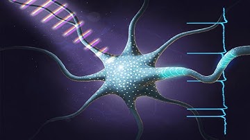 Chemists have used carefully designed light beams to control the activity of neurons