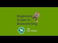A beginners guide to birdwatching