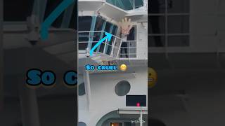 They Missed the Cruise Ship shorts cruiseship cruise travel funny travel funnyvideo ohno
