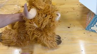 Cuckool 25" | 4.5 Pounds Highland Cow Weighted Stuffed Animals for Kid Adult | Honest Review