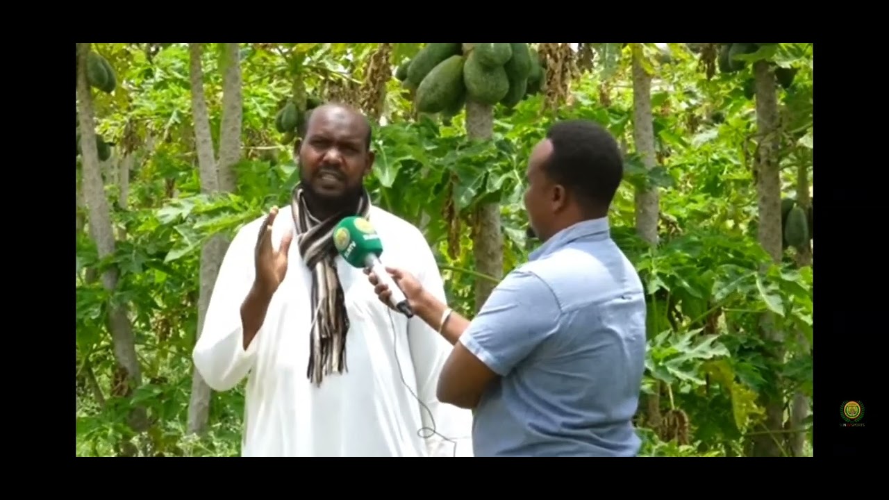 Horumarka Beeraha Somaliland :Ciideena Hodanka Ma U Sarakacna Oo, Beeraheena Ma, Shekeena.!!!