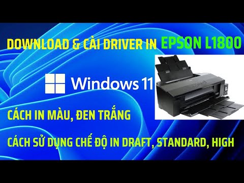 Download và cài Driver Epson L1800 Win 11 và cách sử dụng in màu, đen trắng trong Office 365 và PDF