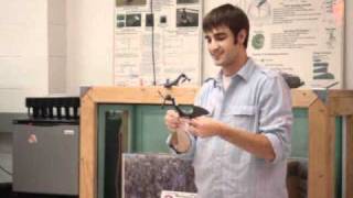 Maple Seed UAV