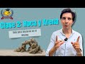 EP. 2: ¿Qué ROCA y ARENA uso en mi Acuario Marino? | Reefrugab Academy