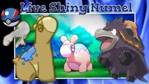 (WSHC #1) Live!!! Shiny Numel after 13,402 REs in Omega Ruby (Non-Horde)