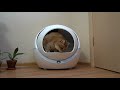 Smart cat litter box