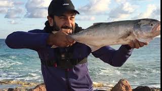صيد سمك مياس زغف احجام من علي الشاطئ الساحل الشمالي 😱🦈