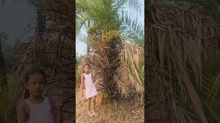 jungle me kya 😄 Mila 😺😲#shorts #viral #anira