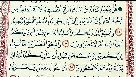 تلاوه ترق لها القلوب وتقشعر منها الأبدان وما تيسر من سورة الزمر بصوت الاستاذ محمد ربيع 💯