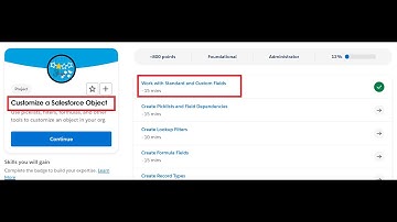Work with Standard and Custom Fields | Customize a Salesforce Object | Salesforce Trailhead