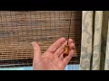 Cordless to Corded! How to convert a cordless woven wood Roman shade to a shade with a lift cord.