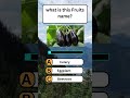 what is this Fruits name?#quiz #knowledge #triviatricks #education #vocabulary #trivia #english