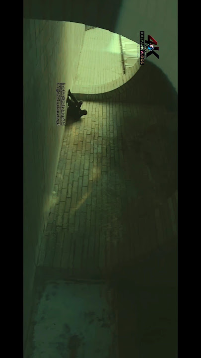 Faded—Alan walker #faded #alanwalker #shorts #youtubeshorts #edm #walker
