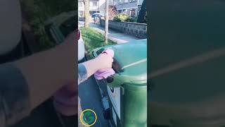 Greyhound Recycling Putting Out Your Bins COVID-19