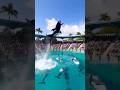 “Slow-Motion Orca Splash”#OrcaMoments #NatureLovers #Shorts