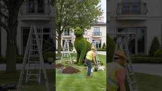 “From Empty Lawn to Giant Cat 🐱🌿 | Luxury Mansion Transformation”