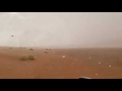 Дождь в пустыне