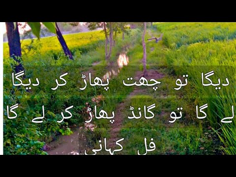 دیگا تو چھت پھاڑ کر دیگا لے گا تو گانڈ پھاڑ کر لے گا فل کہانی کی میں دیگا تو چھت پھاڑ کر دیگا لے گا تو گانڈ پھاڑ کر لے گا فل کہانی کی میں