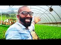 He left europe to become a farmer in nigeria