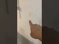 They Tried to Hide the Basement Leak… Here’s What Gave It Away!