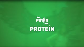 Pınar Protein - Sunum Animasyon Resimi