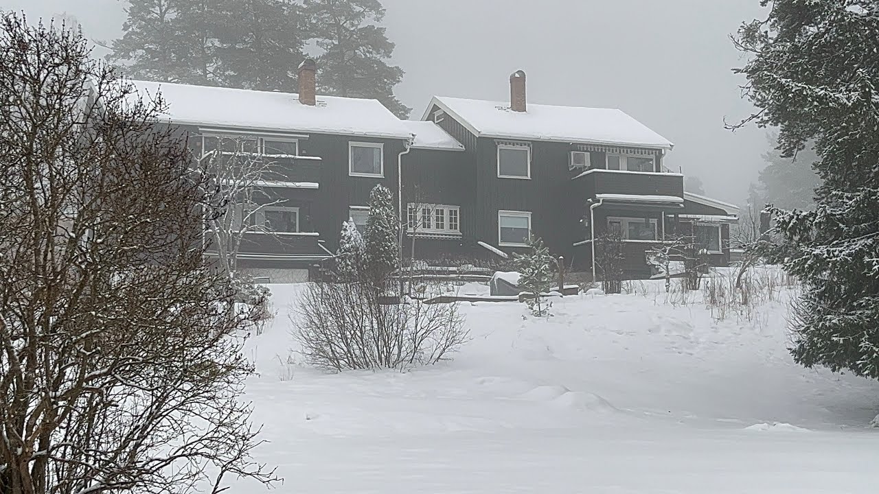 Norway Oslo 🌷Beauty of Snowfall 🌨️ Morning Walk 🌿🌸#Aesthetic Vedio👌🏠