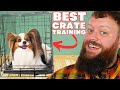 The ultimate crate training guide for your new dog