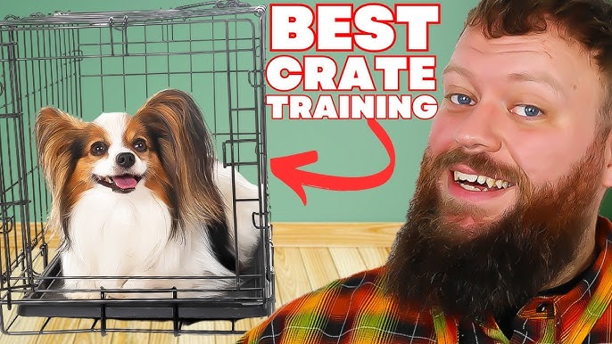 Dog Training: How to Crate Train a Puppy · The Wildest