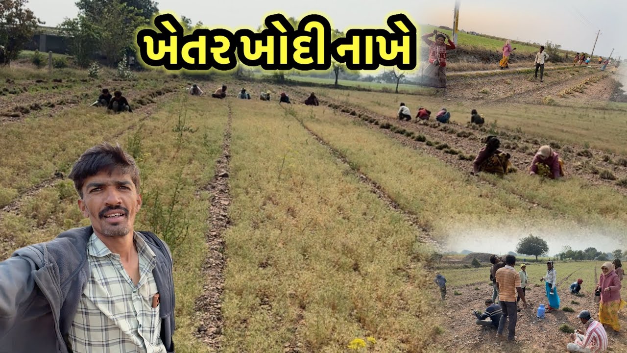 ખેતર ખોદી નાખે 🪏🪏