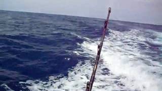 CIMG0964.AVI