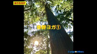 【第４回体幹ヨガ】①C-yoga☆chiharuおうちヨガでリフレッシュ＆リラックス！空いた時間に少しでもTRY！