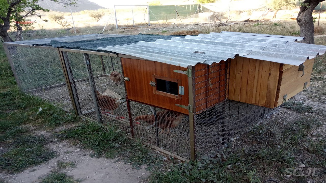 Home made chicken coop YouTube