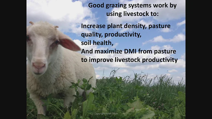 Grazing Management with Sarah Flack Part 1: Soil a...