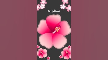 #تلاوه #قرآن #عبدالعزيز الغويري #اسلام صبحي