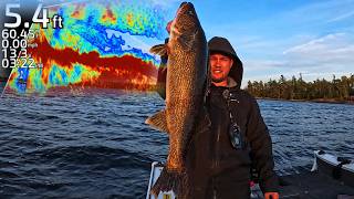 Where to Catch Giant Post-Spawn Walleye on Georgian Bay