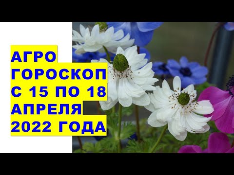 Агрогороскоп с 15 по 18 апреля 2022 года