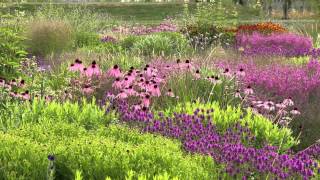 De  Vlinderhof  juli 2015 Part 2