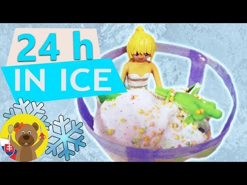 24 hodín v mrazničke?! | Playmobile DIY so Stellou | 24-hodinová výzva Playmobil | Playmobil nápady