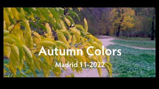 Autumn Colors (Fujifilm X-T4 + Helios 44-2 58 mm f 2.8) Madrid