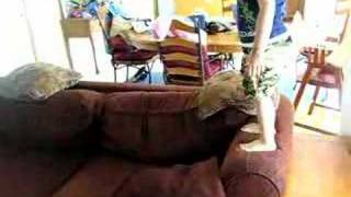 Couch Jumping Parade