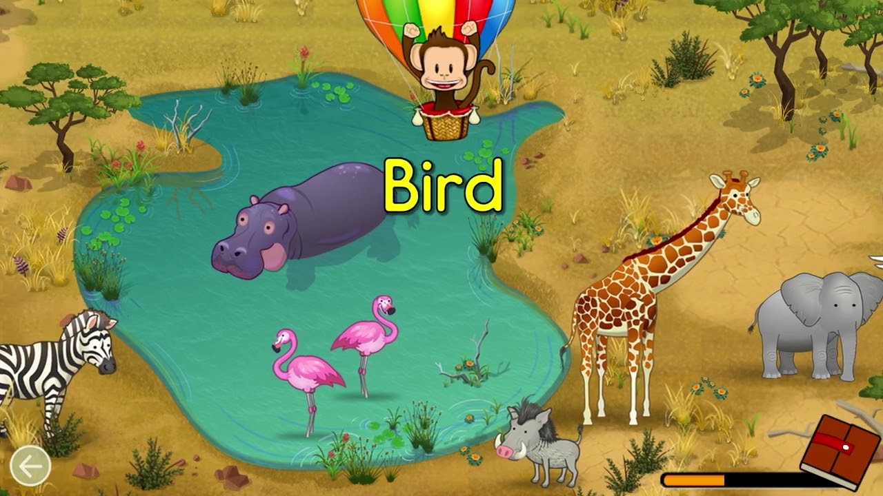 Monkey Preschool Animals Africa