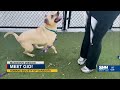 Madison's Mission: Meet Gio!