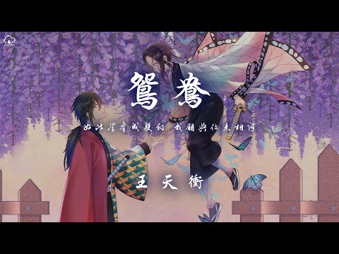 王天沖 - 鴛鴦「好比鴛鴦成雙對 我願與你來相隨」【動態歌詞/PinyinLyrics】♪