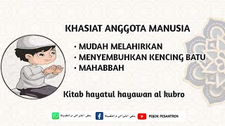 Kajian kitab hayatul hayawan al kubro || Menyembuhkan kencing batu & Mahabbah part 1